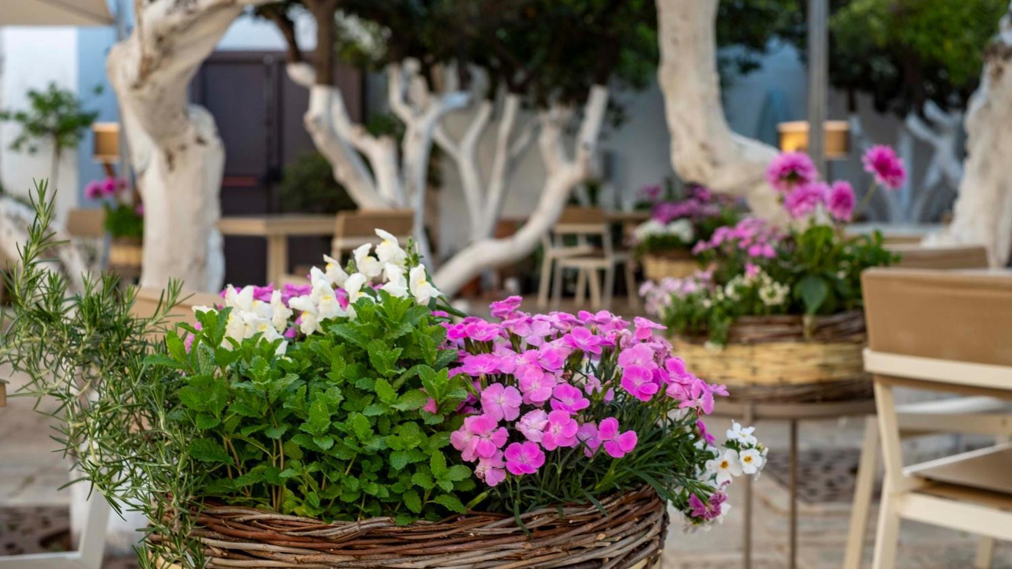 La Sommita Relais & Chateaux Ostuni Exteriör bild